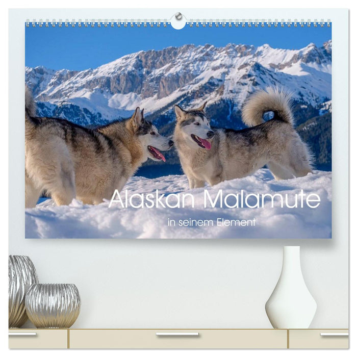 Alaskan Malamute in seinem Element (CALVENDO Premium Wandkalender 2027)