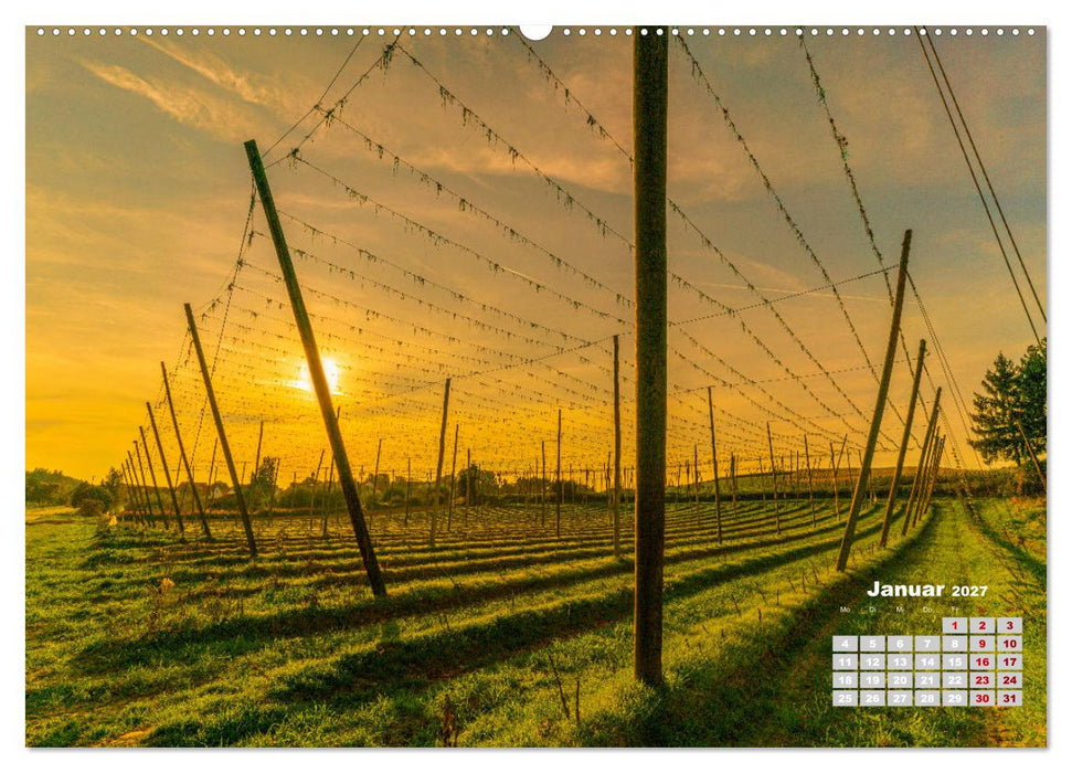 Hopfenland Holledau (CALVENDO Wandkalender 2027)
