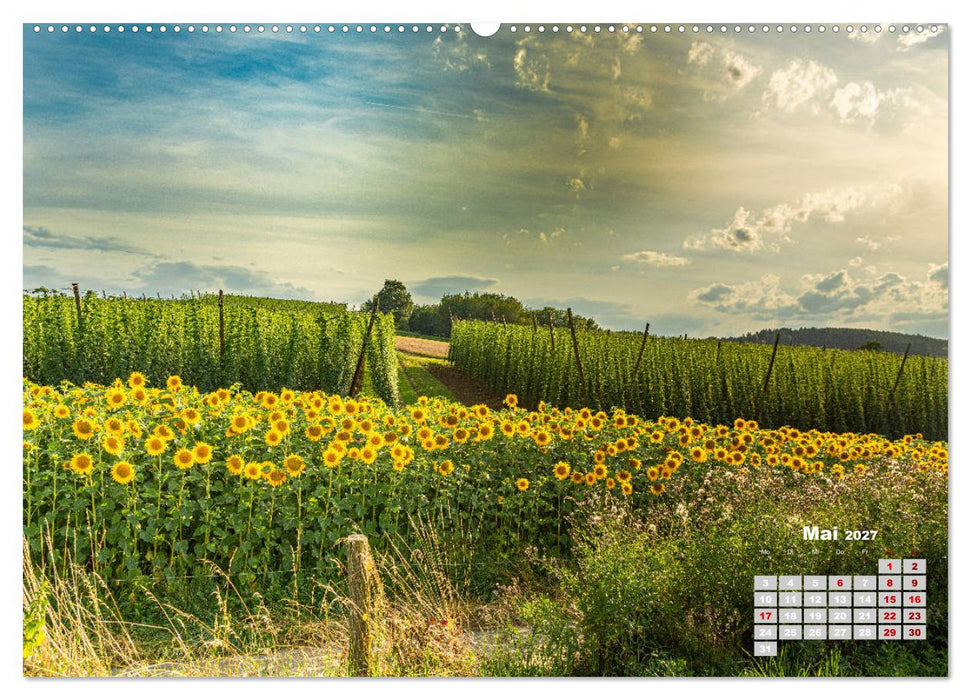 Hopfenland Holledau (CALVENDO Wandkalender 2027)