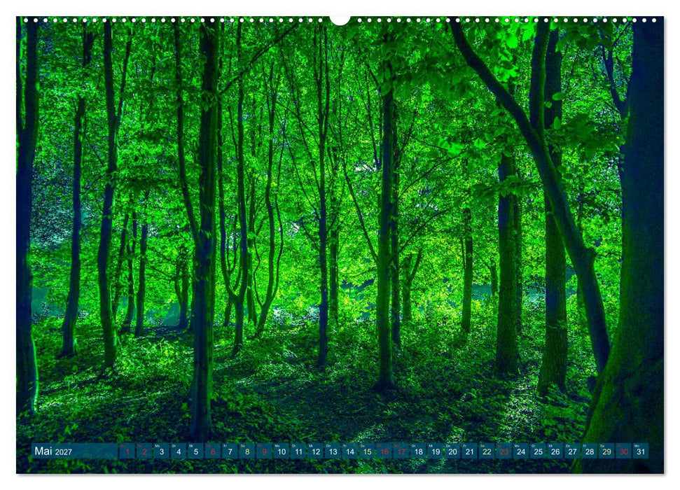 Bielefeld - Der Obersee - unendliche Motive... (CALVENDO Premium Wandkalender 2027)