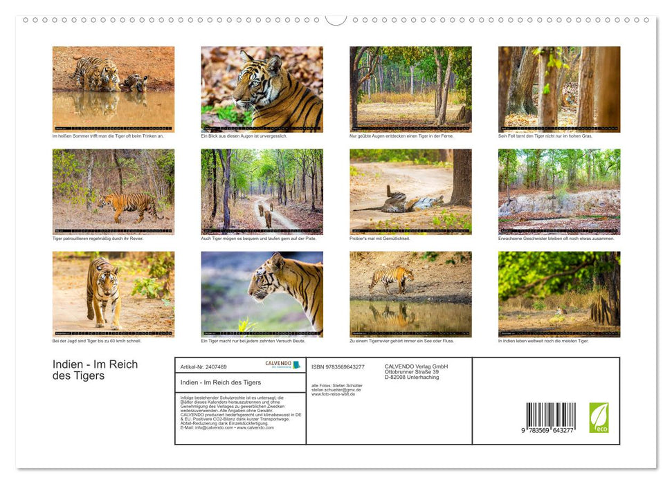 Indien - Im Reich des Tigers (CALVENDO Premium Wandkalender 2027)