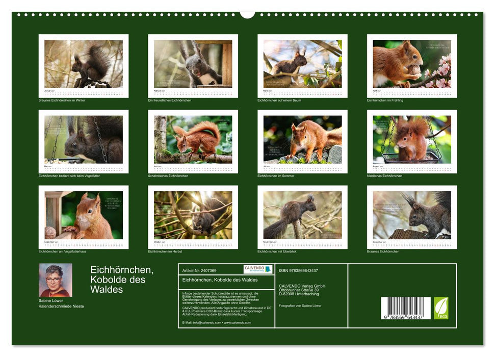Eichhörnchen, Kobolde des Waldes (CALVENDO Premium Wandkalender 2027)