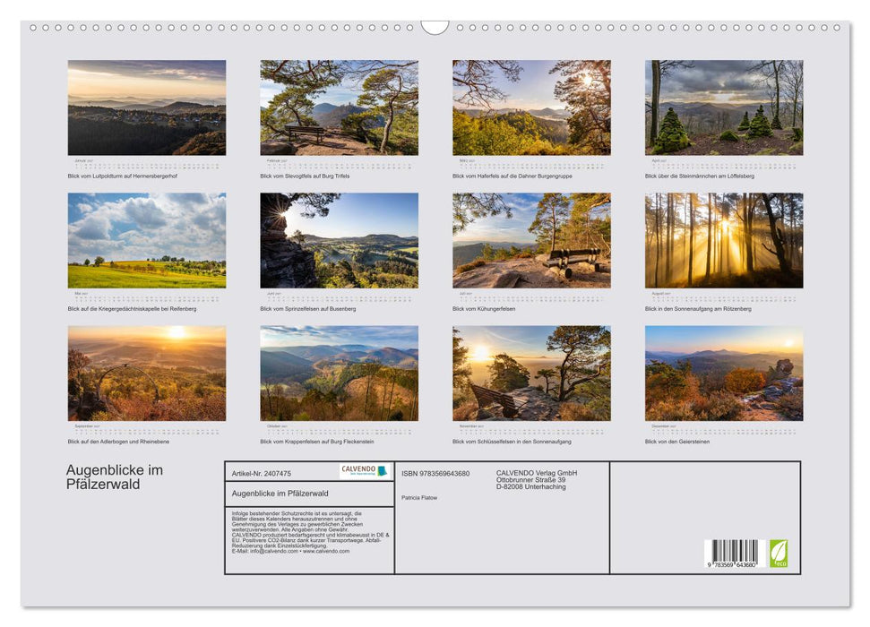 Augenblicke im Pfälzerwald (CALVENDO Wandkalender 2027)