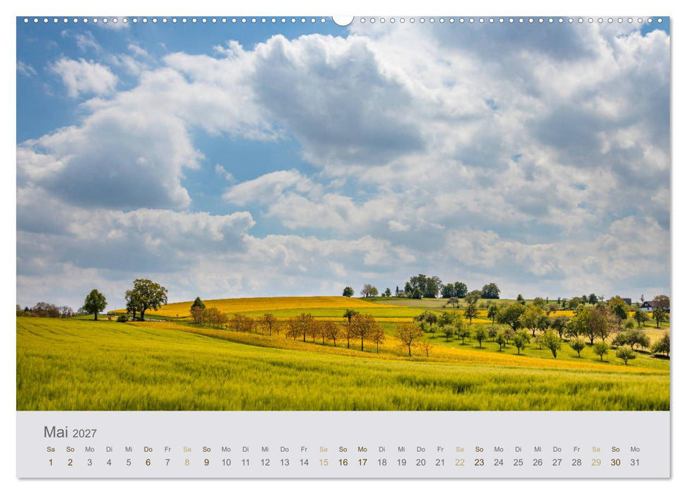 Augenblicke im Pfälzerwald (CALVENDO Wandkalender 2027)