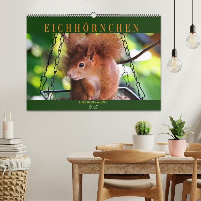 Eichhörnchen, Kobolde des Waldes (CALVENDO Wandkalender 2027)