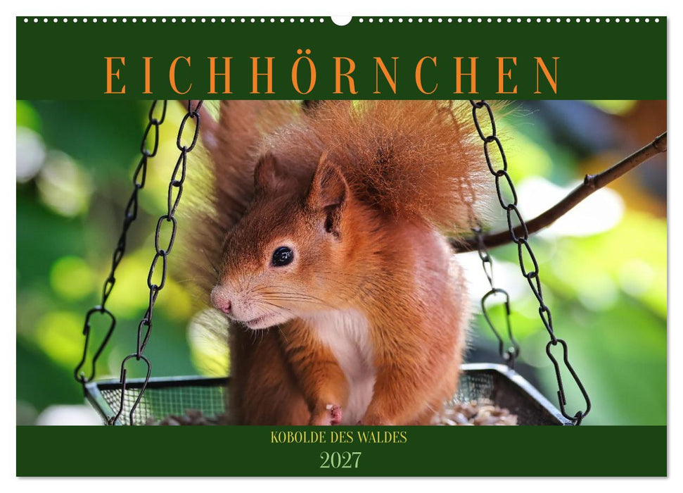 Eichhörnchen, Kobolde des Waldes (CALVENDO Wandkalender 2027)