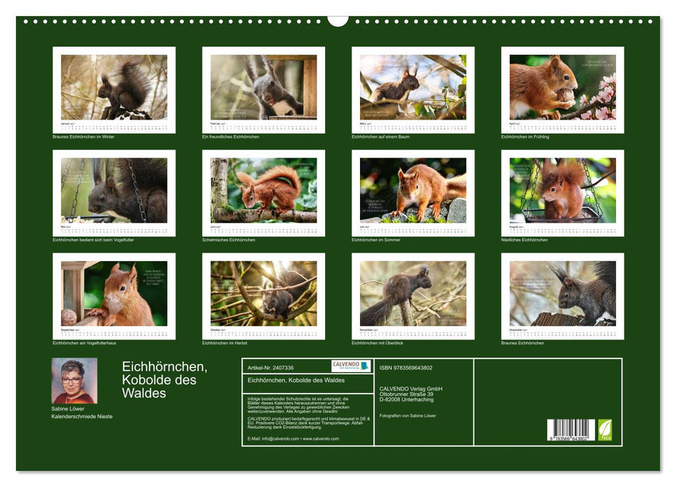 Eichhörnchen, Kobolde des Waldes (CALVENDO Wandkalender 2027)