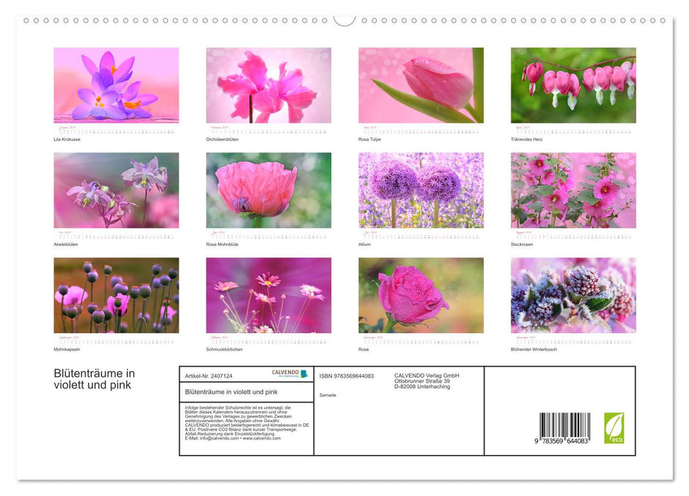 Blütenträume in violett und pink (CALVENDO Premium Wandkalender 2027)