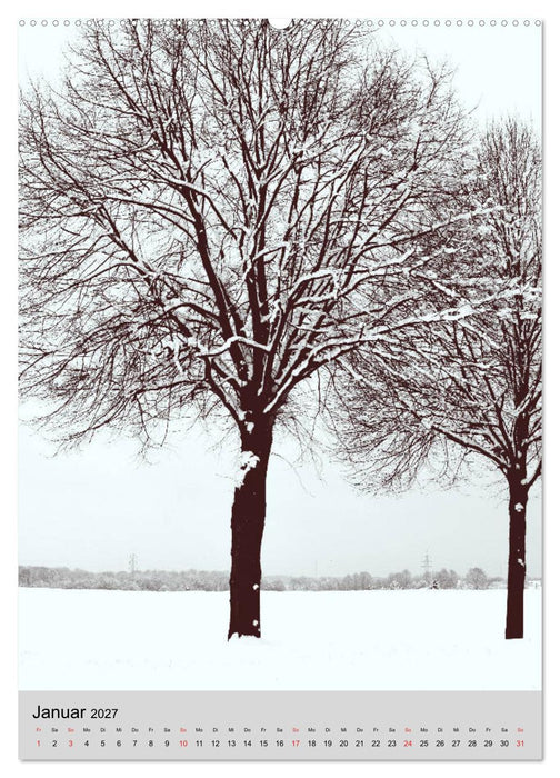 Natur monochrom Die besondere Wirkung (CALVENDO Wandkalender 2027)