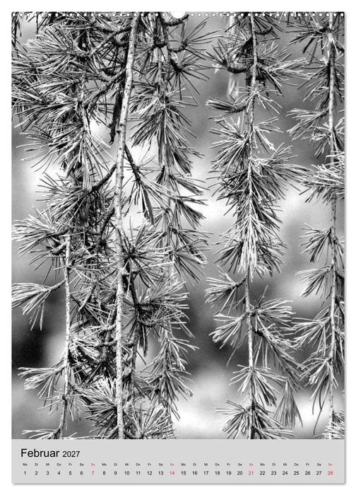 Natur monochrom Die besondere Wirkung (CALVENDO Wandkalender 2027)