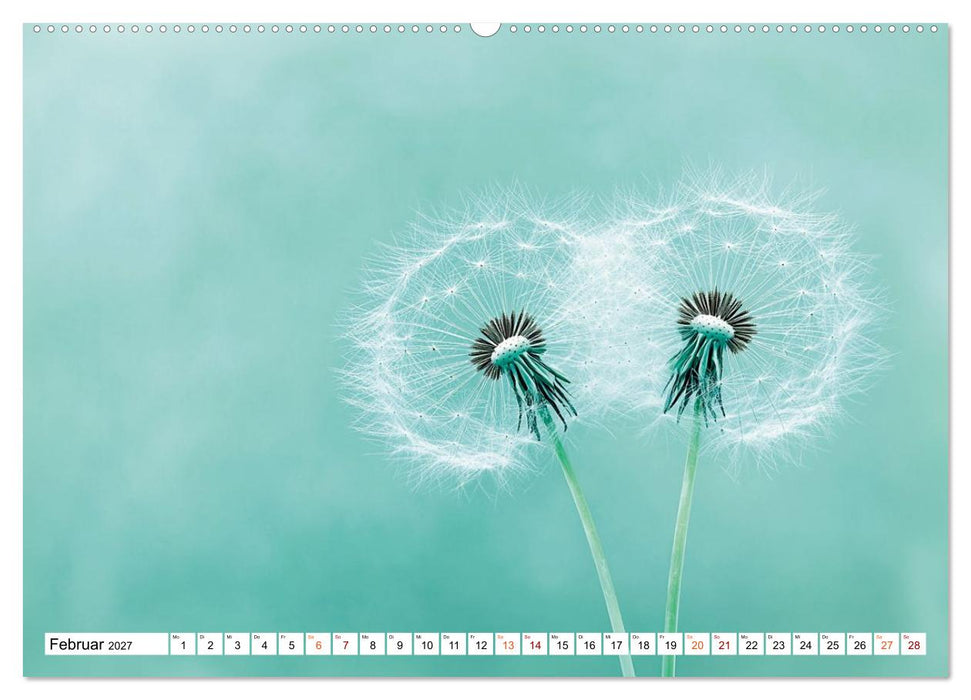 Wenn die Natur flüstert und das Leise sichtbar wird (CALVENDO Premium Wandkalender 2027)