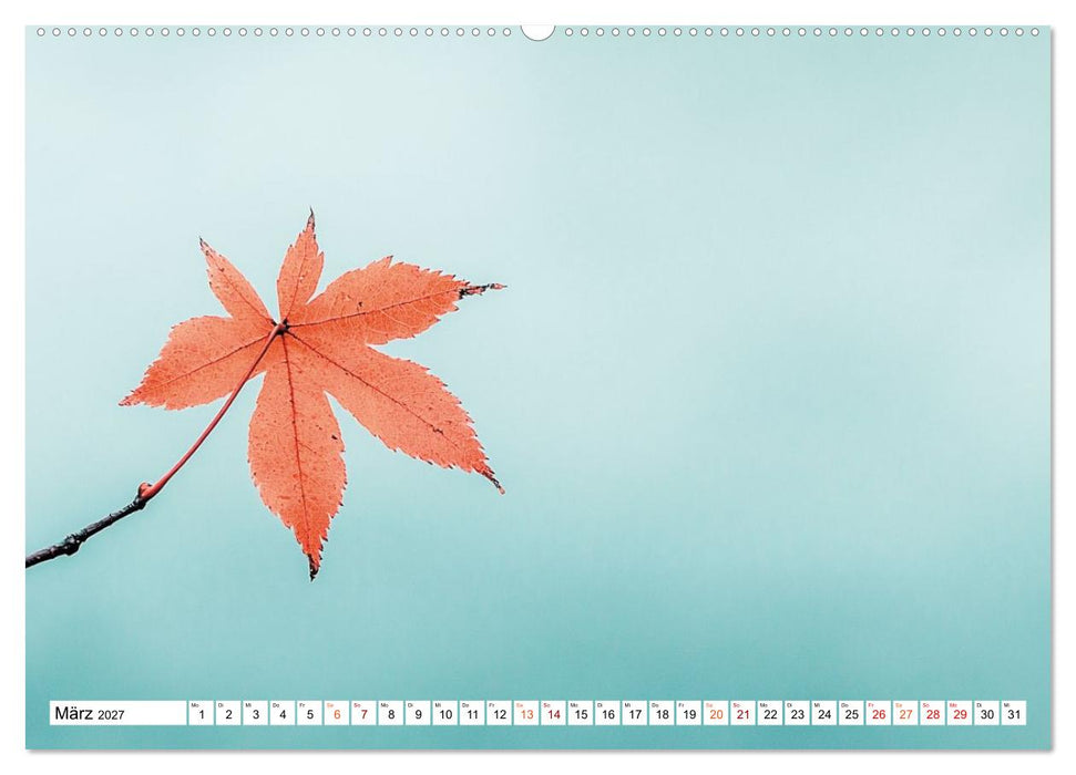 Wenn die Natur flüstert und das Leise sichtbar wird (CALVENDO Premium Wandkalender 2027)