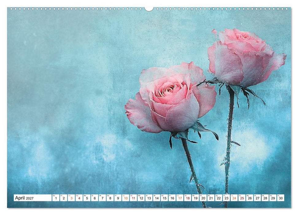 Wenn die Natur flüstert und das Leise sichtbar wird (CALVENDO Premium Wandkalender 2027)