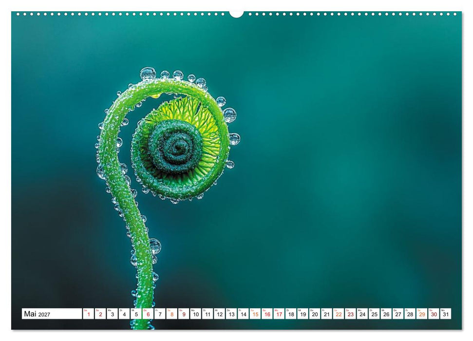 Wenn die Natur flüstert und das Leise sichtbar wird (CALVENDO Premium Wandkalender 2027)