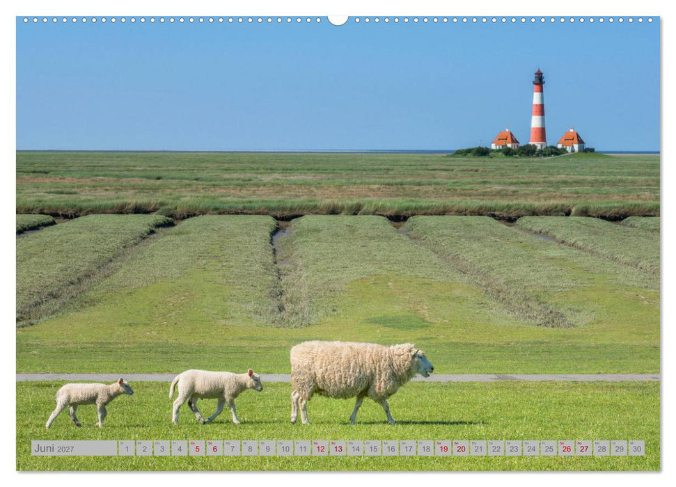 Leuchttürme - Wächter der Küsten (CALVENDO Premium Wandkalender 2027)