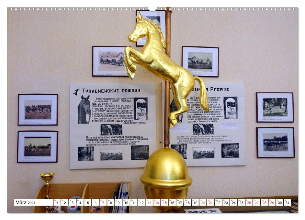Mythos Trakehnen - Paradies ohne Pferde (CALVENDO Wandkalender 2027)
