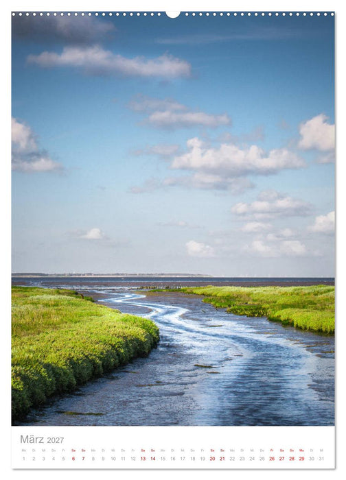 Amrum - Das Gesicht der Nordsee (CALVENDO Wandkalender 2027)