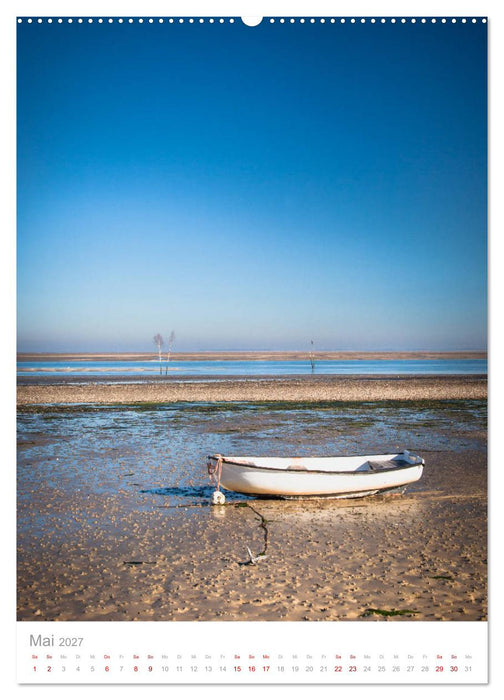 Amrum - Das Gesicht der Nordsee (CALVENDO Wandkalender 2027)