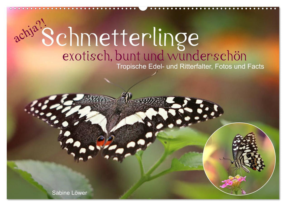 achja?! Schmetterlinge, exotisch, bunt und wunderschön (CALVENDO Wandkalender 2027)