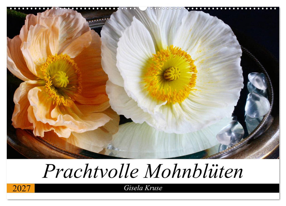 Prachtvolle Mohnblüten (CALVENDO Wandkalender 2027)