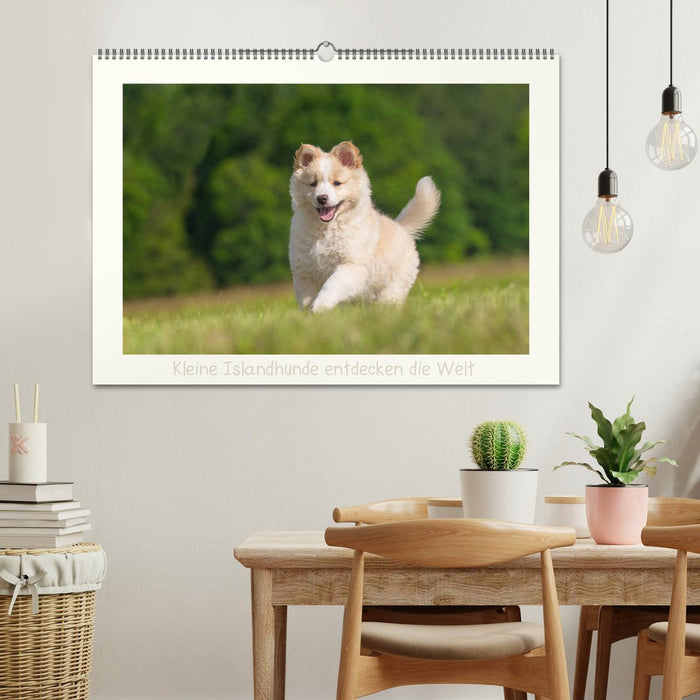 Kleine Islandhunde entdecken die Welt (CALVENDO Wandkalender 2027)