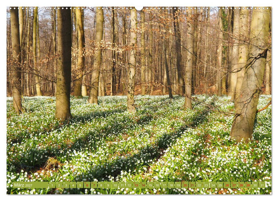 Niedersachsen - Malerische Landschaften (CALVENDO Premium Wandkalender 2027)