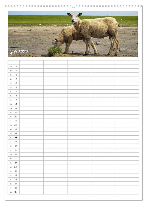 Nordfriesland - Familienplaner (CALVENDO Premium Wandkalender 2027)