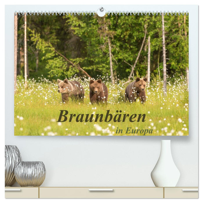 Braunbären in Europa (CALVENDO Premium Wandkalender 2027)