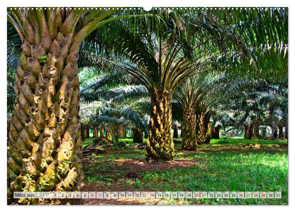 São Tomé - Inselparadies am Äquator (CALVENDO Wandkalender 2027)