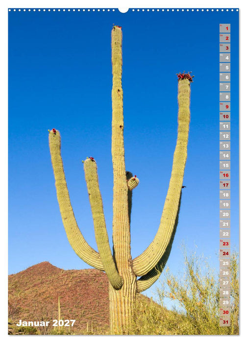 SAGUARO NATIONAL PARK Wüstenimpressionen aus Arizona (CALVENDO Premium Wandkalender 2027)