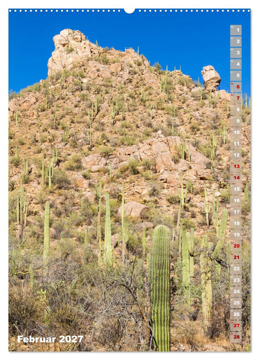 SAGUARO NATIONAL PARK Wüstenimpressionen aus Arizona (CALVENDO Premium Wandkalender 2027)