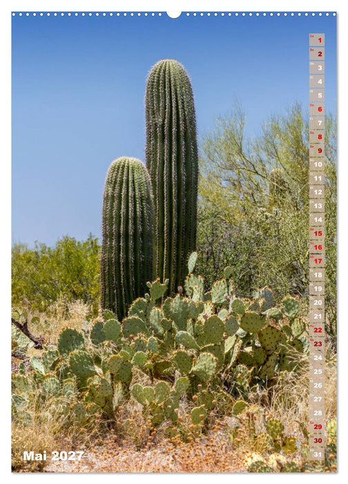 SAGUARO NATIONAL PARK Wüstenimpressionen aus Arizona (CALVENDO Premium Wandkalender 2027)