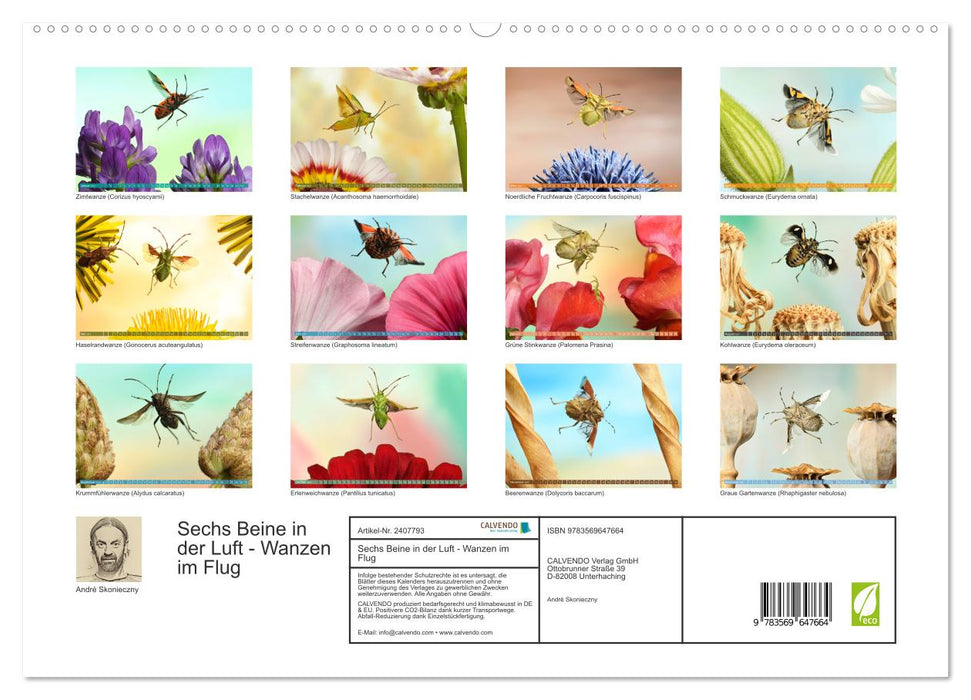 Sechs Beine in der Luft - Wanzen im Flug (CALVENDO Premium Wandkalender 2027)