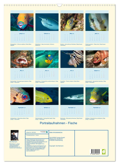 Portraitaufnahmen - Fische (CALVENDO Wandkalender 2027)