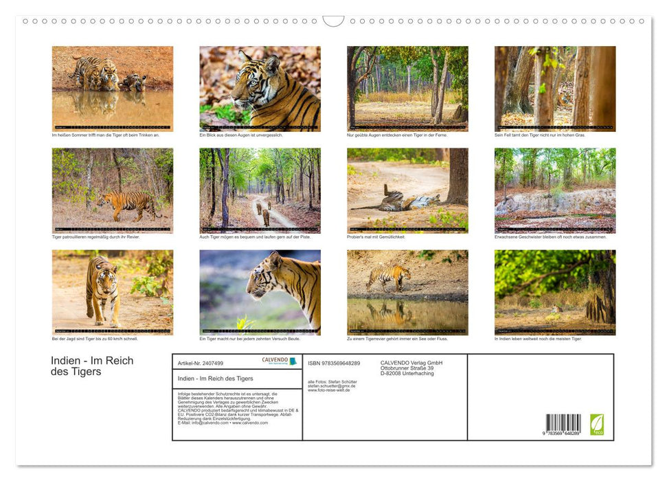Indien - Im Reich des Tigers (CALVENDO Wandkalender 2027)