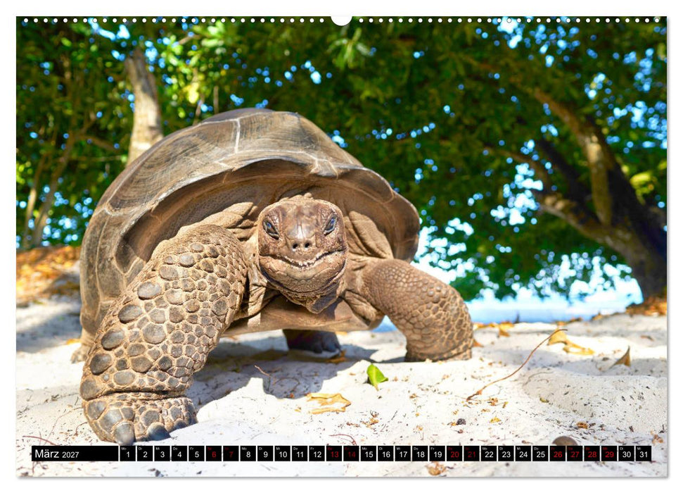 Seychellen Inselblicke (CALVENDO Wandkalender 2027)