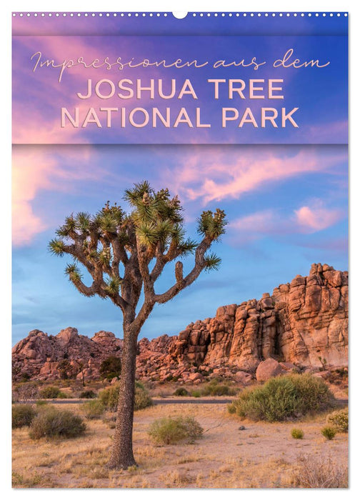 Impressionen aus dem JOSHUA TREE NATIONAL PARK (CALVENDO Wandkalender 2027)