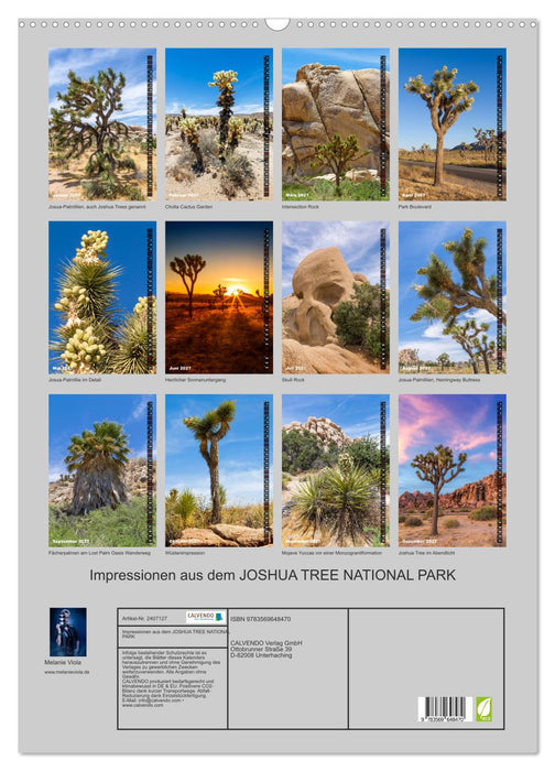Impressionen aus dem JOSHUA TREE NATIONAL PARK (CALVENDO Wandkalender 2027)