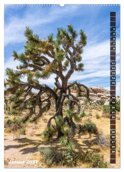 Impressionen aus dem JOSHUA TREE NATIONAL PARK (CALVENDO Wandkalender 2027)