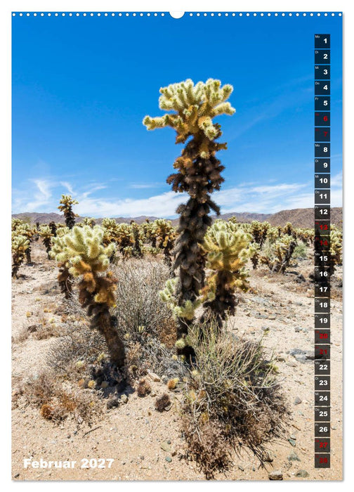 Impressionen aus dem JOSHUA TREE NATIONAL PARK (CALVENDO Wandkalender 2027)