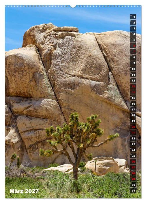 Impressionen aus dem JOSHUA TREE NATIONAL PARK (CALVENDO Wandkalender 2027)