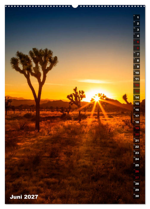 Impressionen aus dem JOSHUA TREE NATIONAL PARK (CALVENDO Wandkalender 2027)