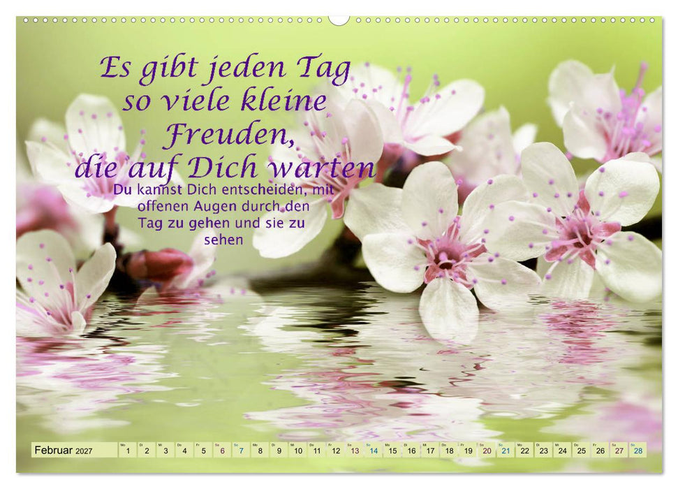Spruchkalender - schau rein (CALVENDO Wandkalender 2027)