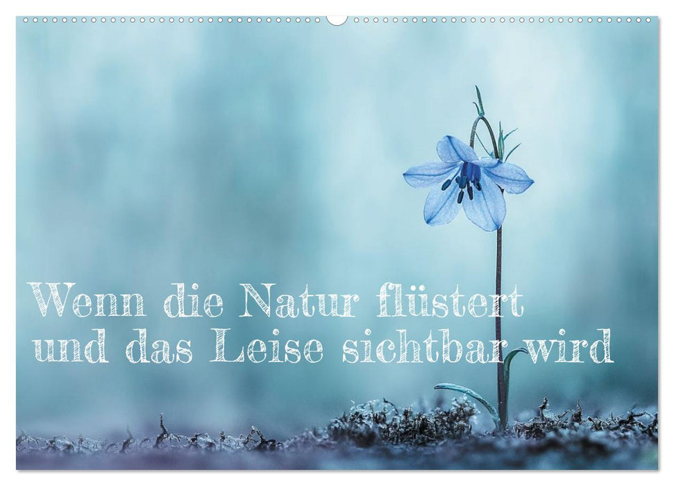 Wenn die Natur flüstert und das Leise sichtbar wird (CALVENDO Wandkalender 2027)