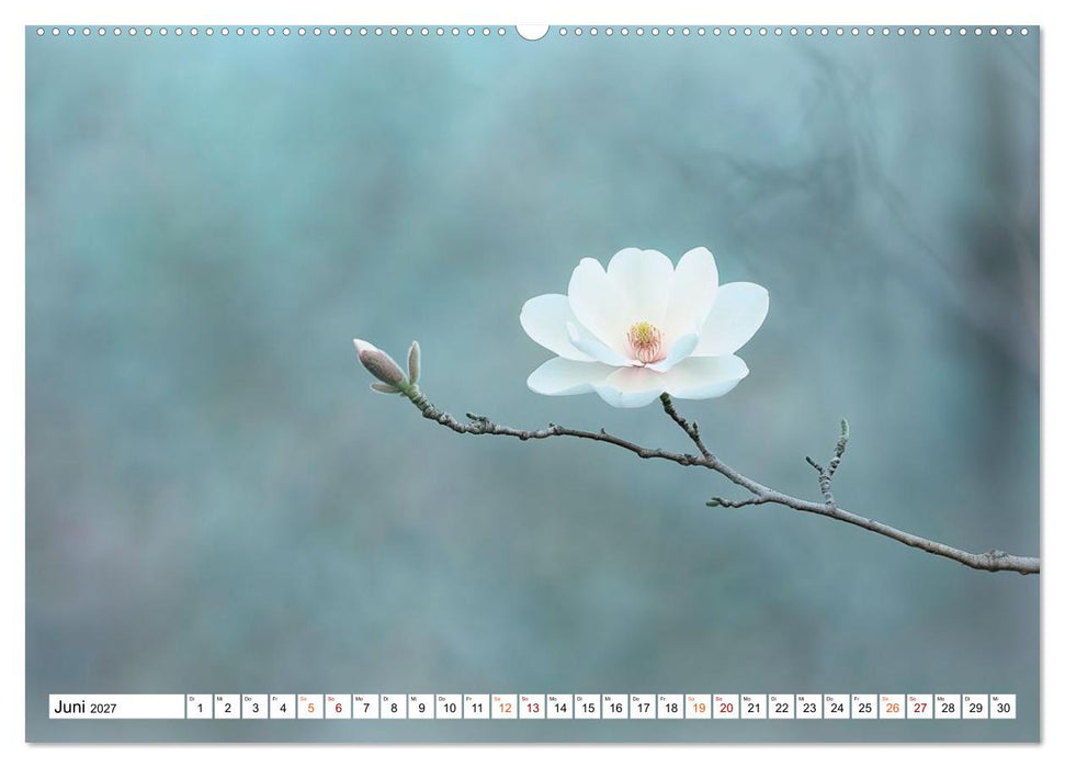 Wenn die Natur flüstert und das Leise sichtbar wird (CALVENDO Wandkalender 2027)