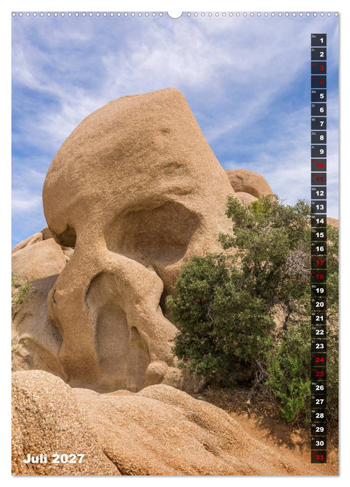 Impressionen aus dem JOSHUA TREE NATIONAL PARK (CALVENDO Premium Wandkalender 2027)