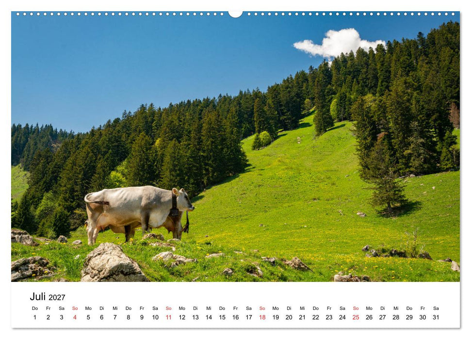 Gesichter der Schweiz - Walliser Weiden (CALVENDO Premium Wandkalender 2027)