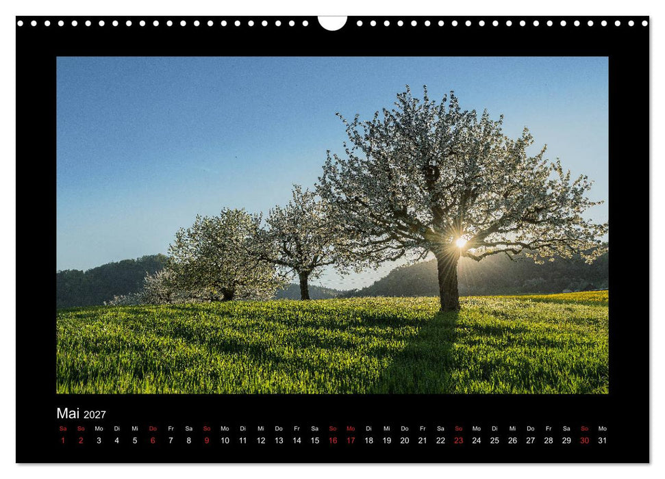 My Switzerland (CALVENDO Wandkalender 2027)