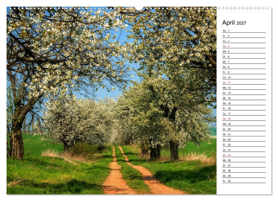 Landschaften im Harz (CALVENDO Premium Wandkalender 2027)