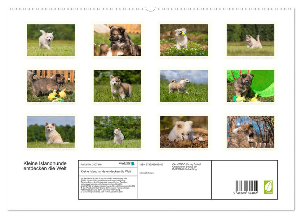 Kleine Islandhunde entdecken die Welt (CALVENDO Premium Wandkalender 2027)